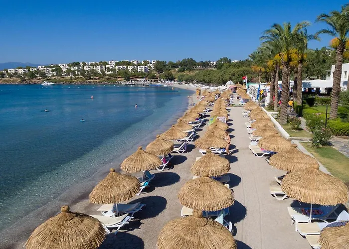 Ladonia Mio Bianco Akyarlar