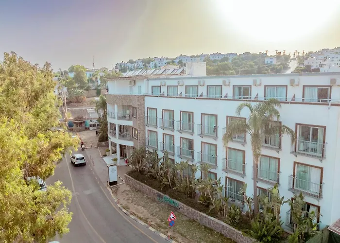 Ladonia Mio Bianco 4* Akyarlar